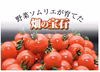 【初回限定】ソムリエミニトマト　プラチナ100gとダイヤ100gの食べ比べセット