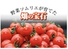 【初回限定】ソムリエミニトマト　プラチナ100gとダイヤ100gの食べ比べセット