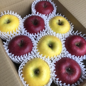 濃厚❗️サンふじ&果汁いっぱい❗️シナノゴールド ギフト品