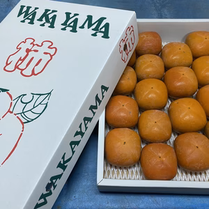 紀の川柿【自宅用】数量限定