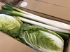 長ネギ×白菜の鍋野菜セット