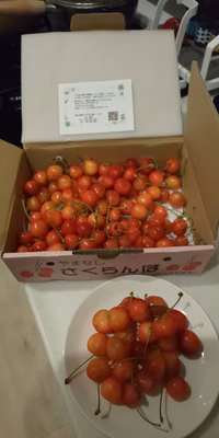 みんなの投稿の画像