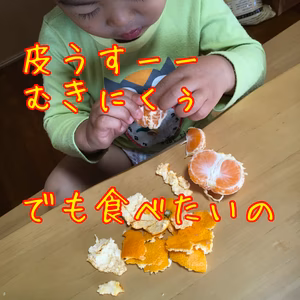 濃い味そのまま見た目訳ありいしじみかん【説明必読】