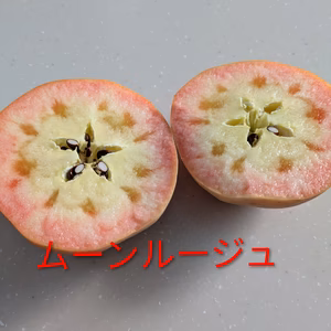 長野県産　赤肉りんごのムーンルージュ家庭用3k箱