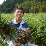 茨木良太 | 四万十情熱ジンジャーマン