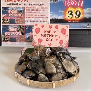 【母の日】感謝を込めて3,900円(サンキューSALE) 