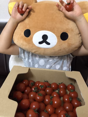 みんなの投稿の画像