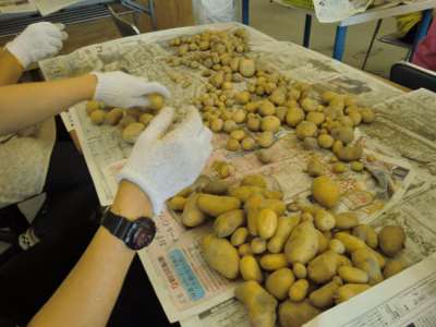 みんなの投稿の画像