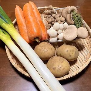 【綾町の詰め合わせ】豪華野菜セット！