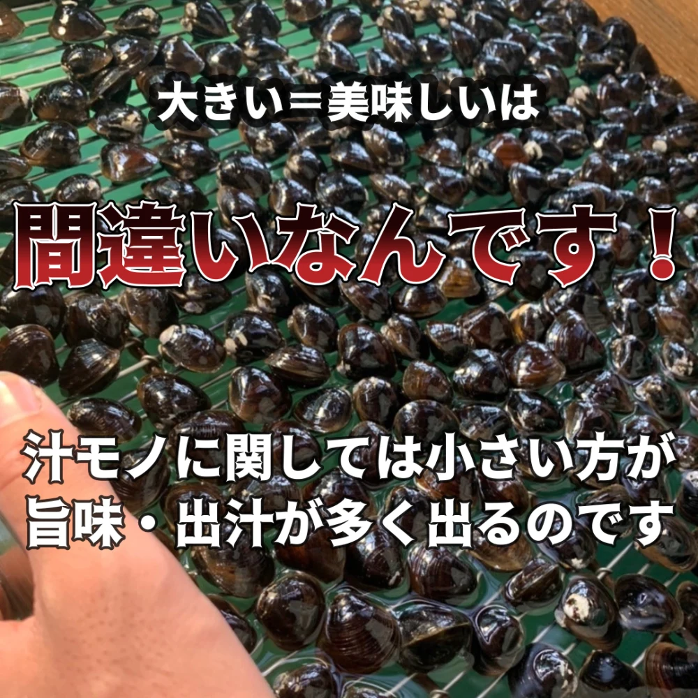 【冷凍】十三湖産大和しじみ 　砂抜き済