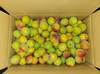 (特別栽培)和歌山県産　南高梅　A品3Lサイズ(梅干し用)