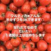 【母の日に甘いギフト♡】ありがとうを伝えるトマトBOX