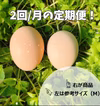 定期便！スモールサイズでお買得‼名古屋コーチンのタマゴ45個（シェア用パック付）