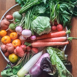 【6〜9品目程度】季節の根菜類メインの野菜セット