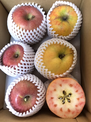 みんなの投稿の画像