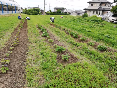 みんなの投稿の画像