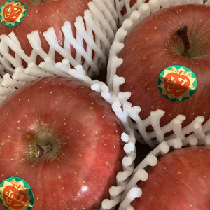 青森県産★りんご