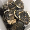 三重県産 生食用 天然 岩牡蠣 （約3kg前後）（約6～8個前後） 期間限定