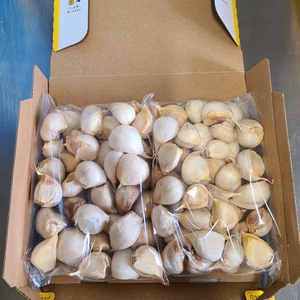 バラにんにく１kg(送料無料)