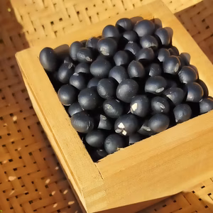 使いやすい１ｋｇ梱包！風味豊かな農薬不使用の有機黒豆！ 北海道壮瞥町産