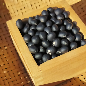 使いやすい１ｋｇ梱包！風味豊かな農薬不使用の有機黒豆！  北海道壮瞥町産