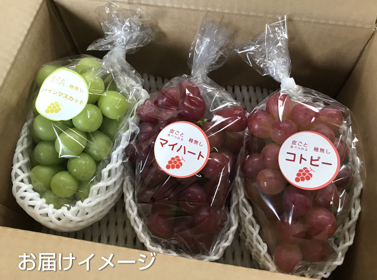 マイハート 粒がハート型 ぶどう シャインマスカットのセット｜ぶどう