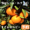 ※予約※【5㎏/L・2L・3L】特選品　まどんなルビー(愛媛果試28号）
