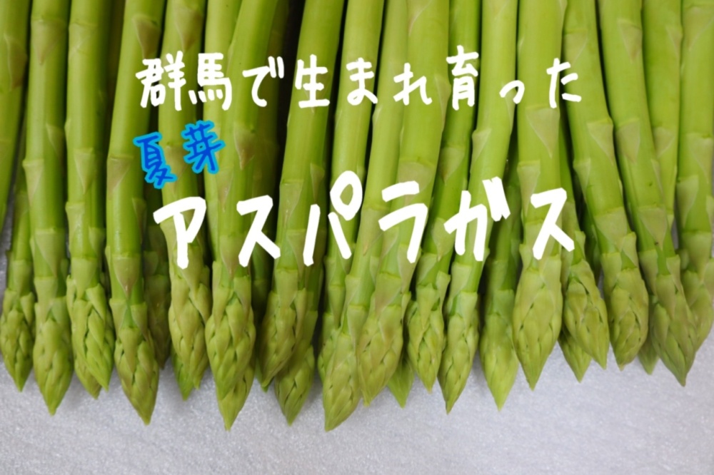 夏芽アスパラガス Lサイズ1kg 農家漁師から産地直送の通販 ポケットマルシェ