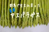 夏芽アスパラガス　Lサイズ1kg