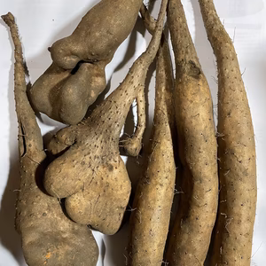 ★ねばり芋と短形自然薯の食べ比べセット★