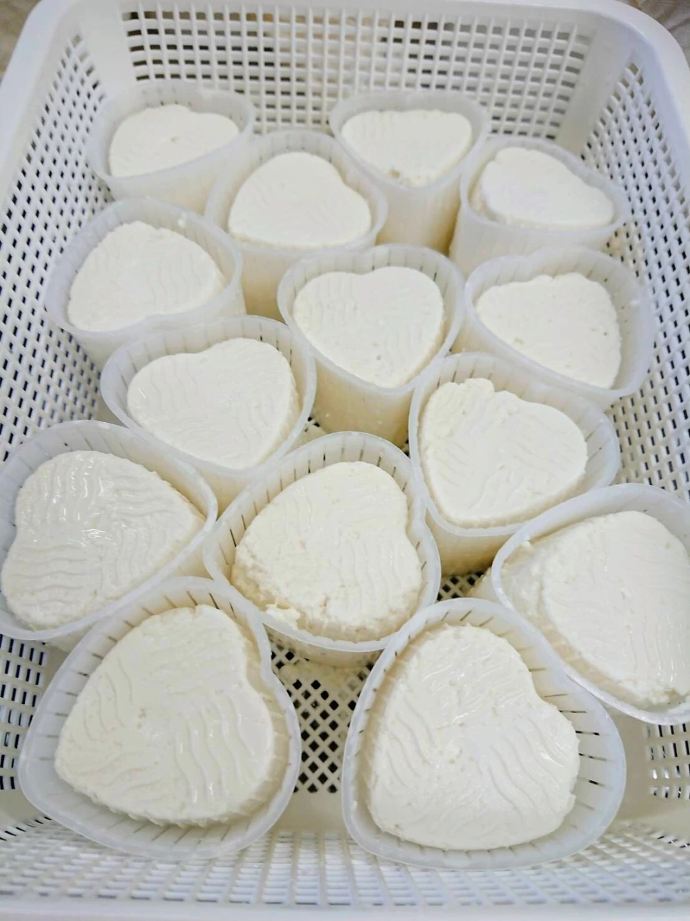 【長野県産】ヤギさんのミルクで作るリコッタチーズ（ラ・ファータ）