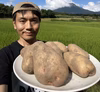 大山じゃがいも【はるか】　カレーや肉じゃがなど煮物におすすめ！！