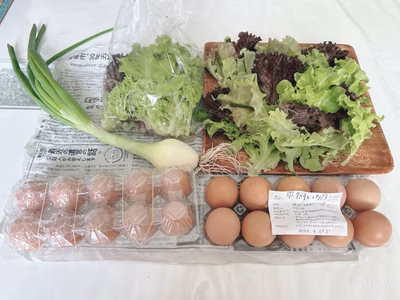 みんなの投稿の画像