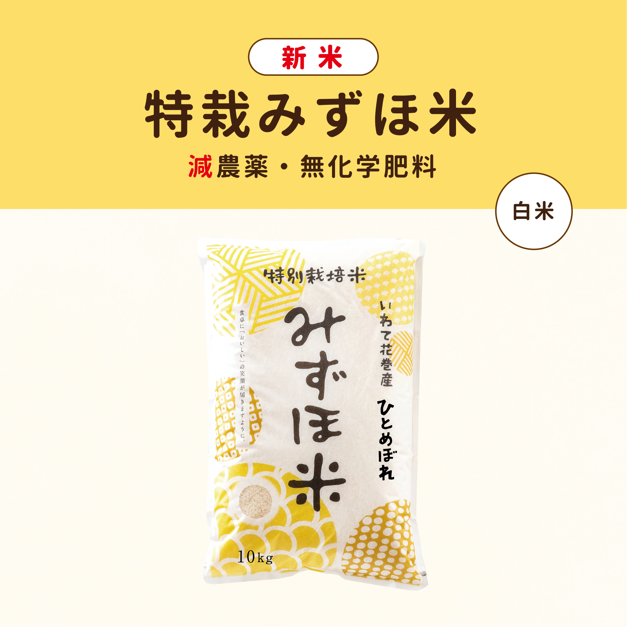 産地提携米 無洗米ひとめぼれ 10kg（5kg×2袋） - 米