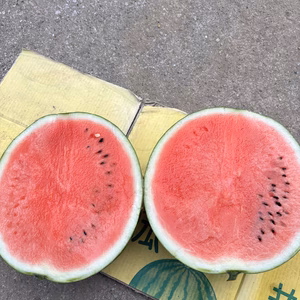 ハロウィンスイカ！　ほんだ農園の秋スイカ4キロ×2玉