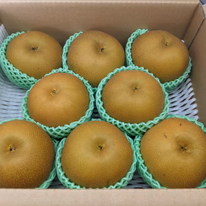 梨特大サイズ10kg箱詰め