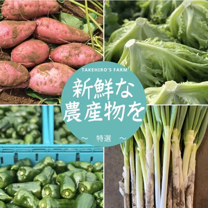 【お試しBOX】！特選！〜 季節のお野菜おまかせセット 〜