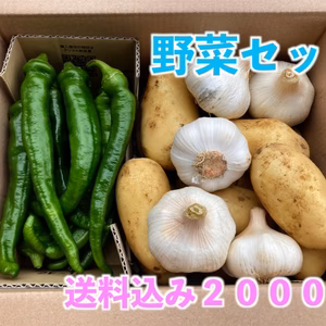 野菜セット【ジャガイモ、万願寺とうがらし、ニンニク】