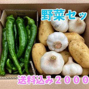 野菜セット【ジャガイモ、万願寺とうがらし、ニンニク】