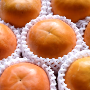 【糖度測定済16度以上】OUTLET まつばら農園の富有柿