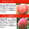 【家庭用】おまかせ白桃 約2.8kg/2kg　8月発送 訳あり#NPR0B028