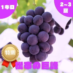 【特選】巨峰・1.0kg・2~3房