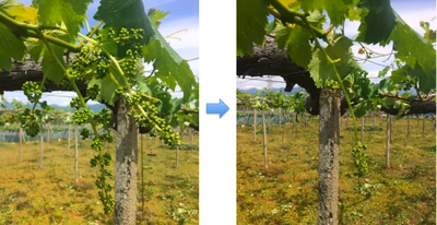 みんなの投稿の画像