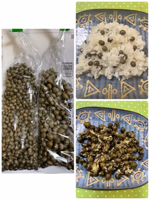 みんなの投稿の画像