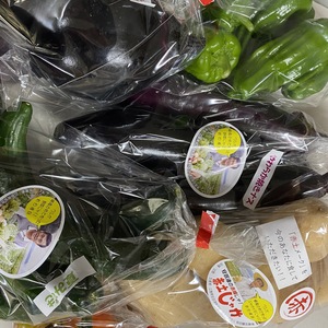 野菜詰め合わせセット　1500円
