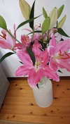 年末年始を飾る大輪のユリ♡