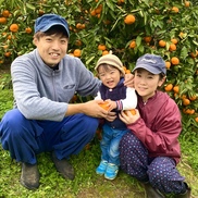 皮ごと食べられる ワックス 防腐剤フリー 国産レモン 大三島レモン 農家漁師から産地直送の通販 ポケットマルシェ