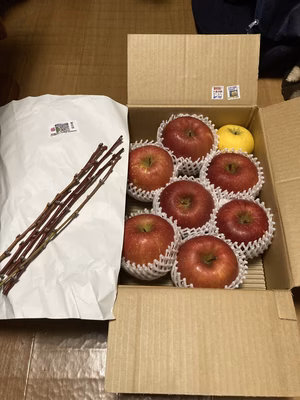 みんなの投稿の画像