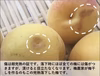【6月18日農園発送】完熟落下した南高梅をその日に発送します！