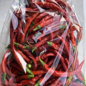 ★赤唐辛子　フレッシュ　農薬不使用　100g～500g